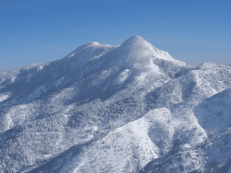 三代试管婴儿的周期费用，试管会提前生产