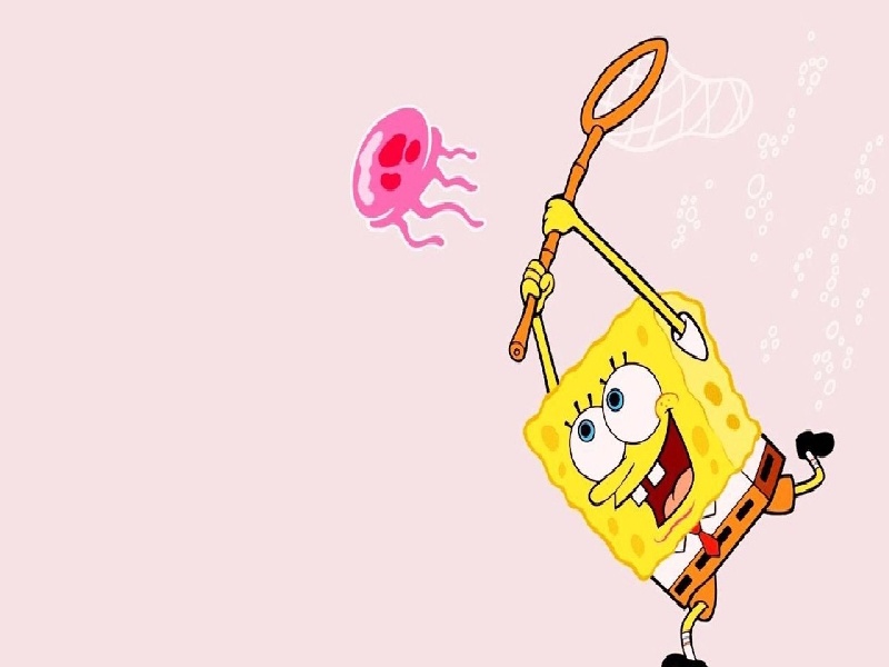 范玮琪的儿子试管，治疗单角子宫费用